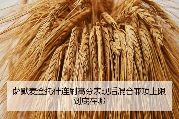 sa-mo-mai-jin-tuo-shen-lian-shua-gao-fen-biao-xian-hou-hun-he-jian-xiang-shang-xian-dao-di-zai-na-2-267.jpg