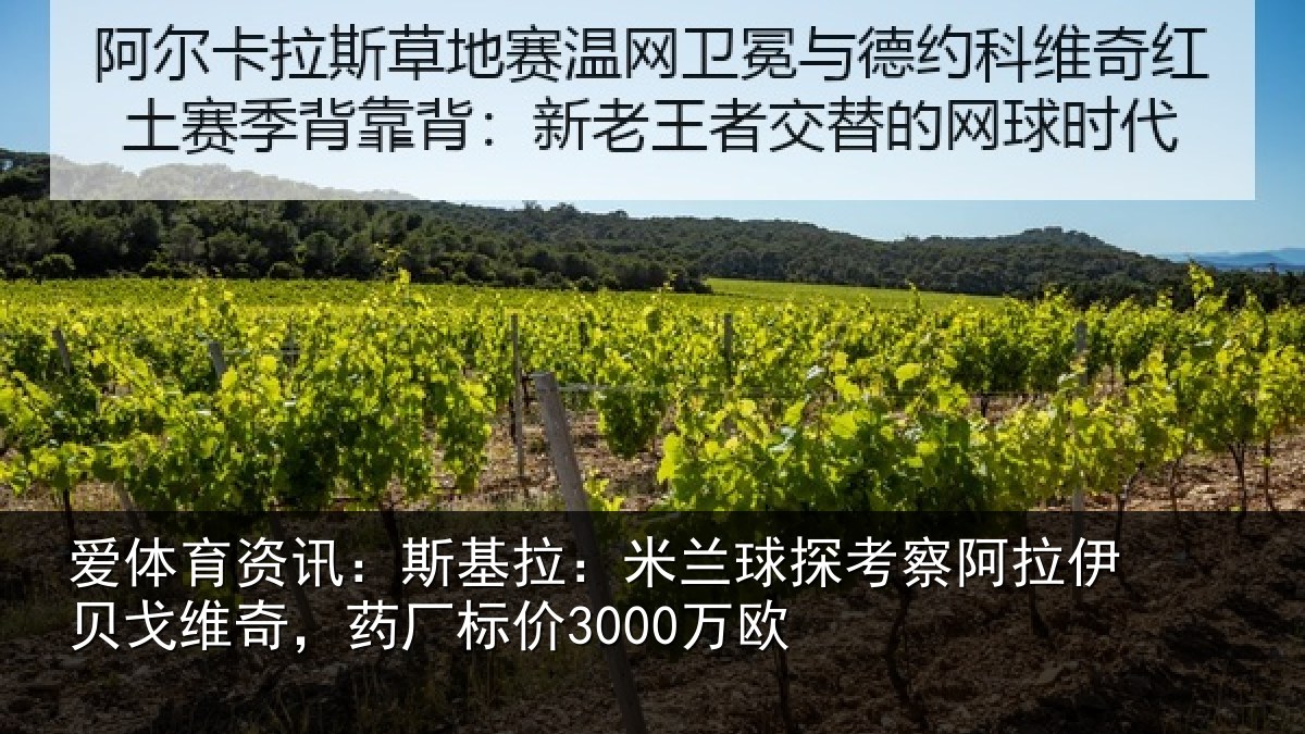 爱体育资讯：斯基相关情况拉伊相关情况3000万欧