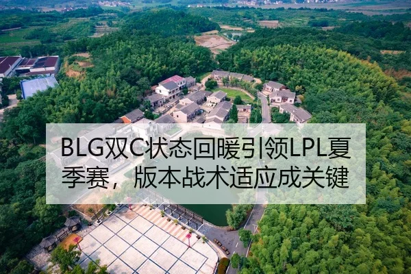 BLG双C状态回暖引领LPL夏季赛，版本战术适应成关键